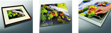 Commercial Art Examples